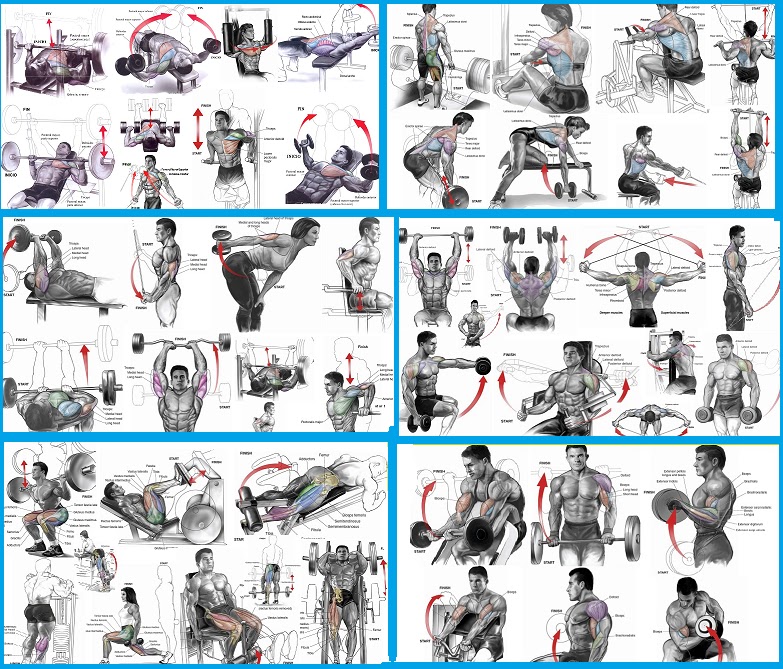 your bodyweight